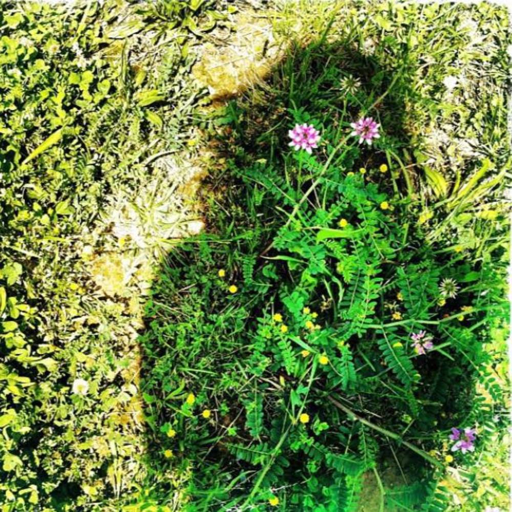 Meet your Posher, Myranda